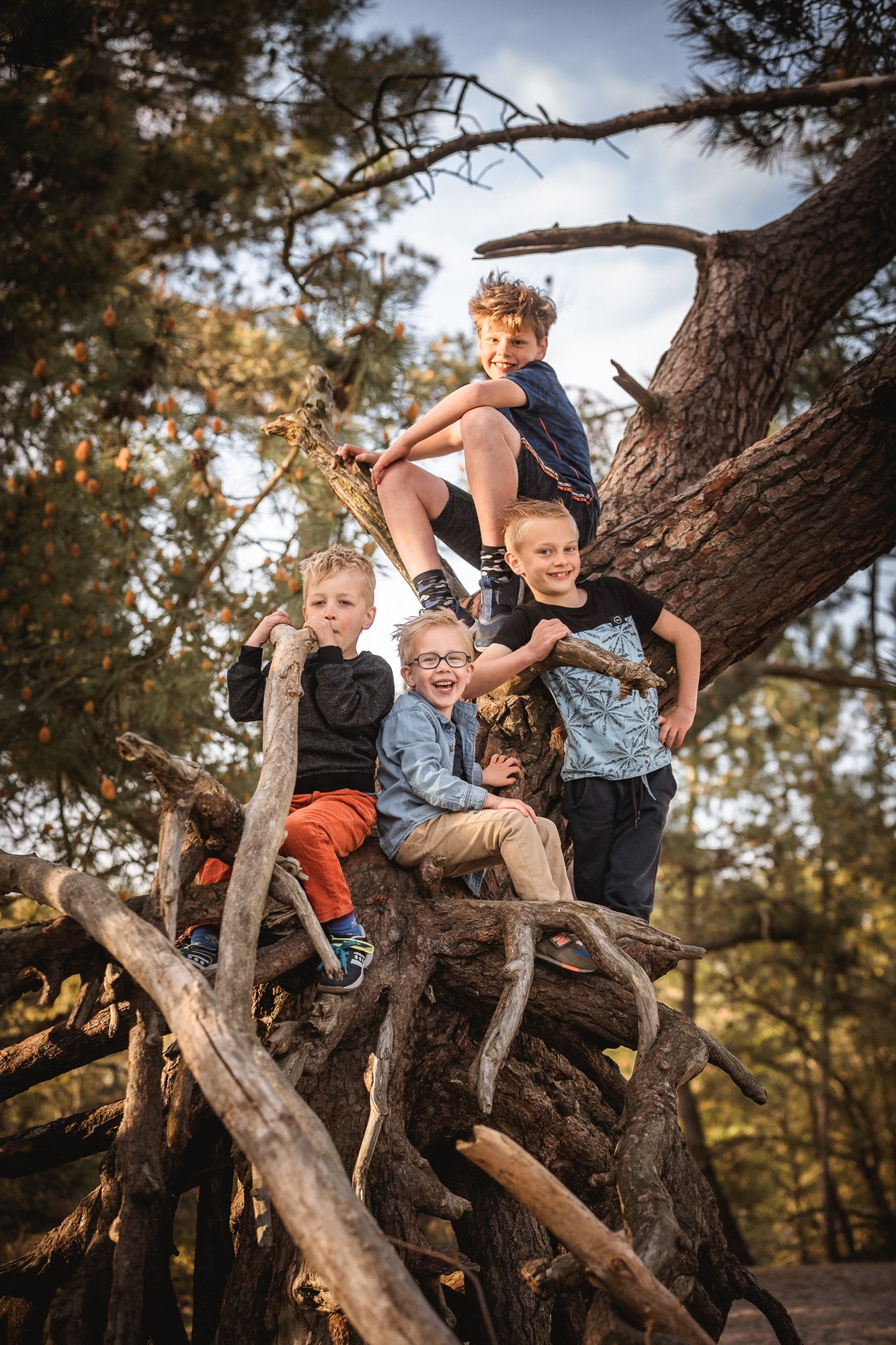 Kinderen klimmend in een boom